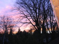 Bild 22 Sonnenuntergang von der Loggia gesehen - Bild 22: XXL-Apartment - Große sonnige Ferienwohnung Berlin Gatow 70m²